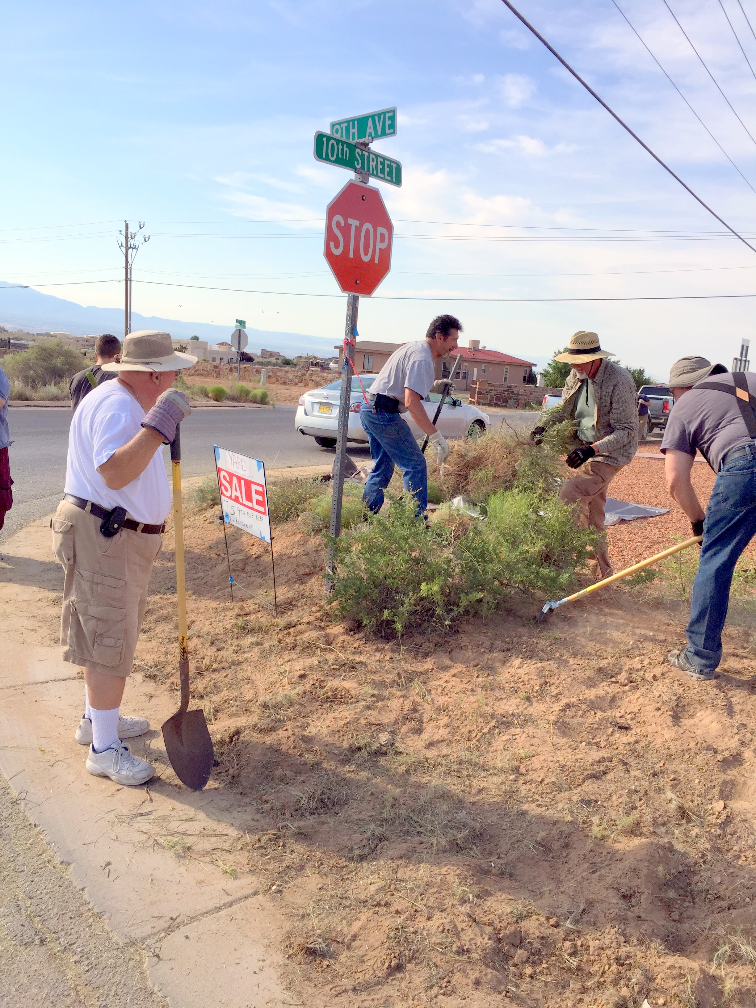 Council Activities